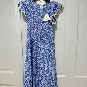 Lost + Wander Flutter-Sleeved Dress (Size Small) - Blue & White Floral, New with
